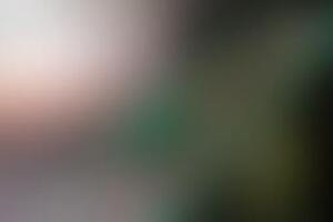 Фотография экшн-игры Джуманджи от компании Джуманджи КМВ (Фото 1)