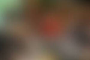 Фотография квиза Игра разума от компании Игра разума (Фото 1)