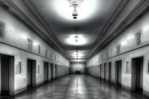 Фотография перформанса Патология от компании Истерика (Фото 1)